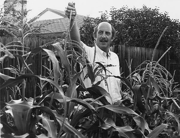 Joe stands with corn stalks