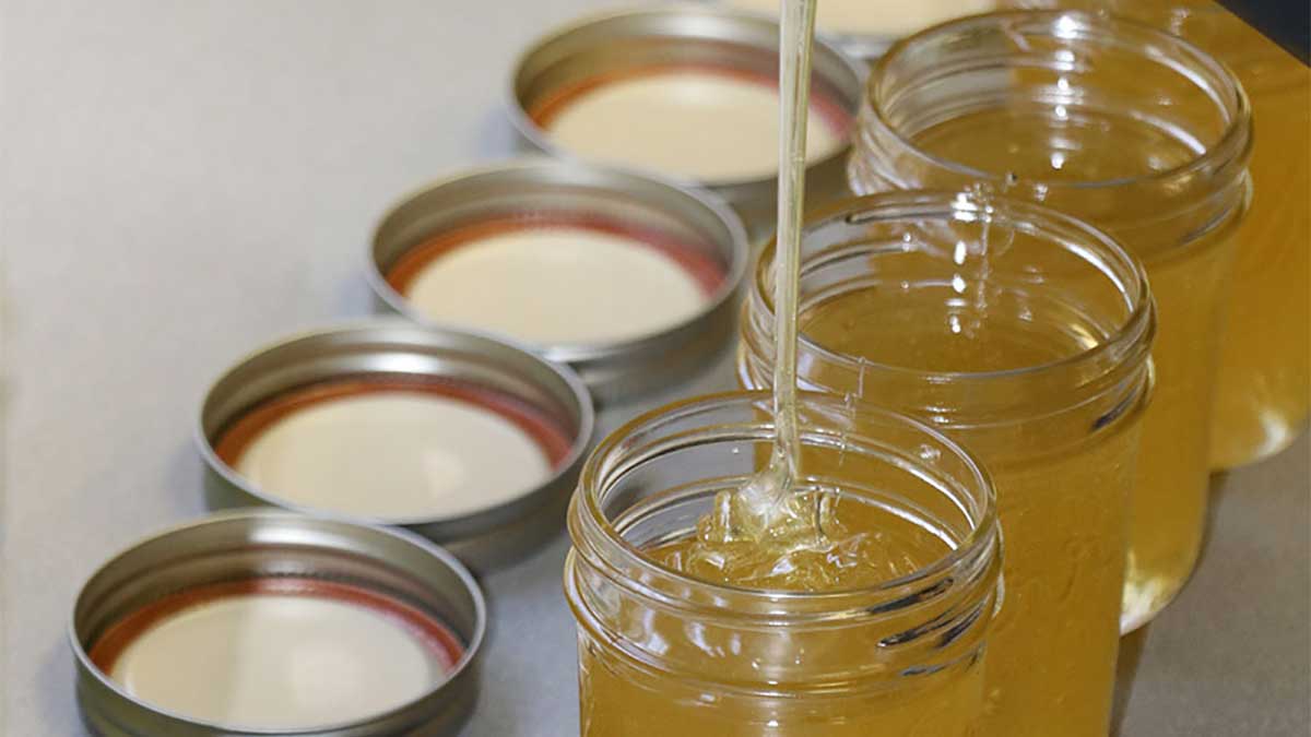 Honey being poured into jars