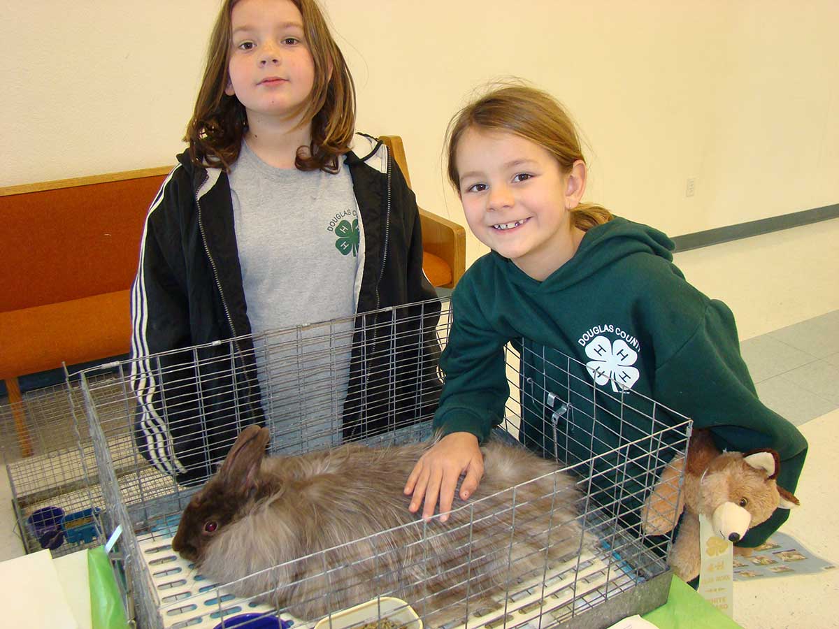 Two 4-H girls wearing 4-H shirts and sweaters stand next to their rabbit's open-top hutch. One girl is reaching into the cage and is gently petting the fluffy, brown and white rabbit.