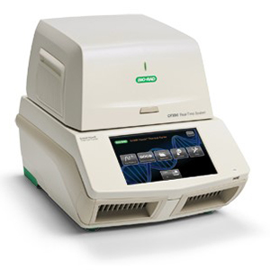 CFX96 Touch Real-Time PCR equipment