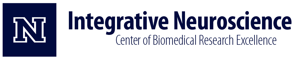 Integrative Neuroscience Center of Biomedical Research Excellence
