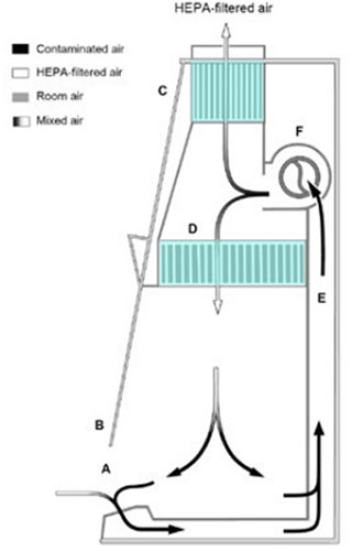 Figure showing the side view of a Class II Type A biosafety cabinet, with arrows indicating the direction of airflow through the equipment.