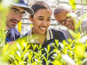 Close-up of three students looking at plants in a University greenhouse