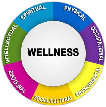 [Figure 1] Visual image of the Wellness Wheel. A circle with "Wellness" in the middle, surrounded by outer rings and associated colors for parts of the Wellness Wheel. Components include "Spiritual," (light blue) "Physical," (dark blue) "Occupational," (purple) "Environmental," (yellow) "Social/Cultural," (gold) "Emotional," (pink) and "Intellectual" (green).