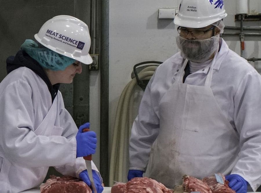Extension workshop puts meat safety front and center