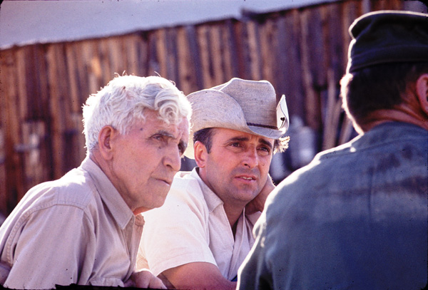 Robert Laxalt (middle) at a Basque sheep camp with his father Dominique Laxalt (left). Robert Laxalt at a Basque sheep camp