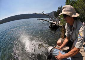 U.S. Fish and Wildlife Services stock fish U.S. Fish and Wildlife Services stock fish