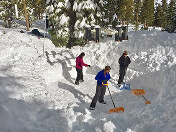 Researchers shovel snow around chickadee feeder