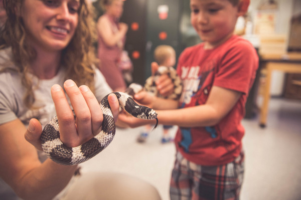 A museum volunteer shows a young visitor a king snake.