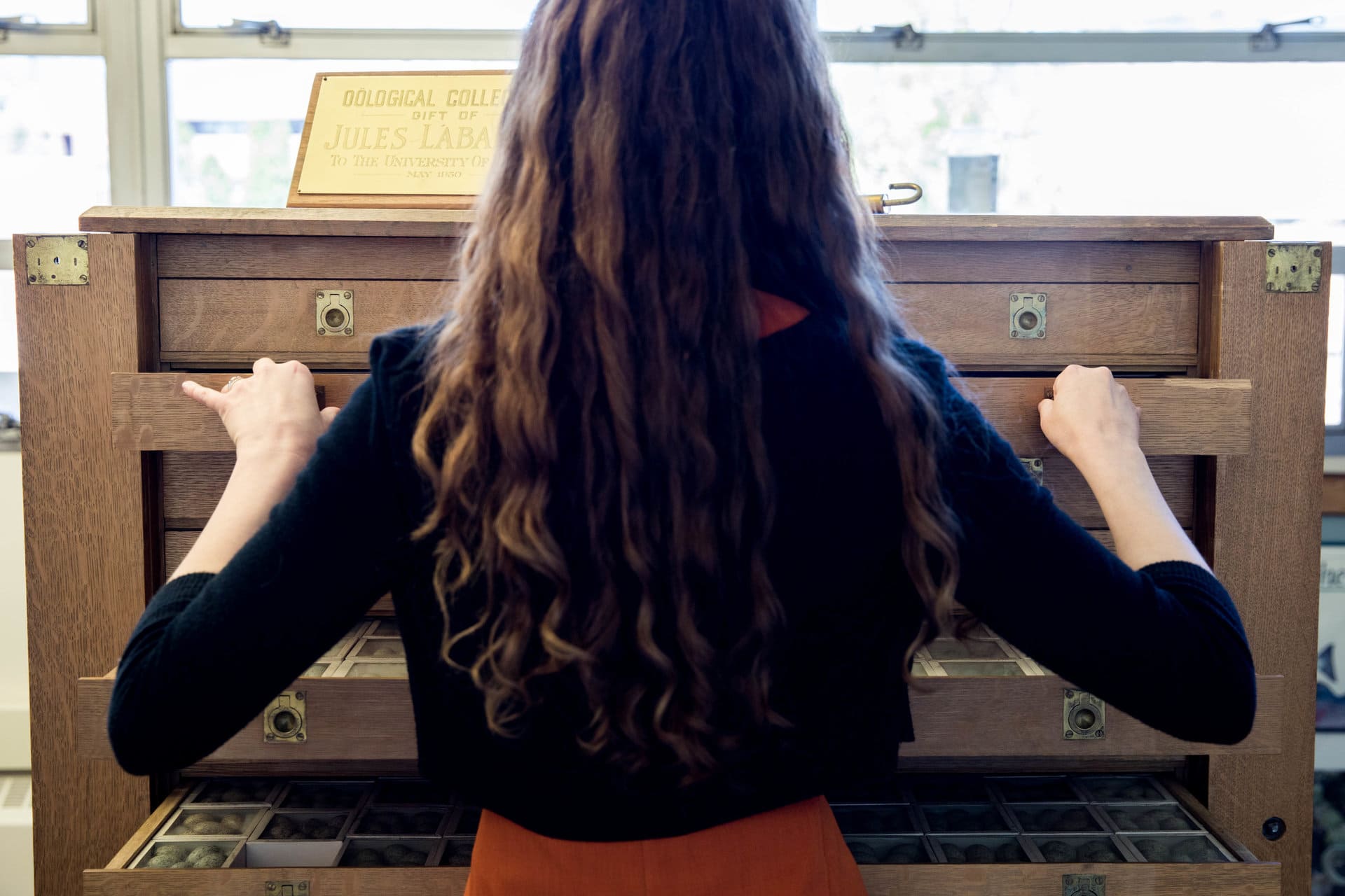 A woman opening drawers of an old bureau full of biological samples with her back to the camera