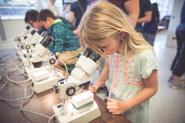 A young visitor looks into a microscope during the Day at the Museum event.