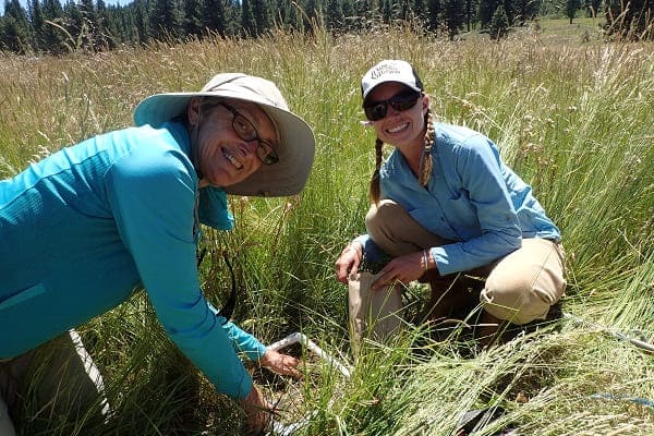 Students in the College of Agriculture, Biotechnology and Natural Resources study carbon sequestration in meadows near Truckee, California in the Sierra Nevada mountains.