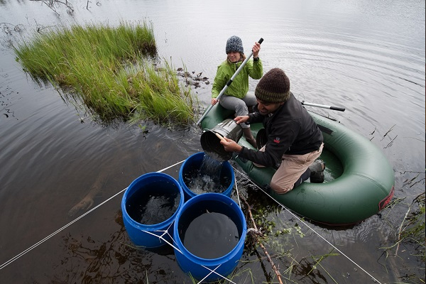 Chandra and student researcher collecting samples