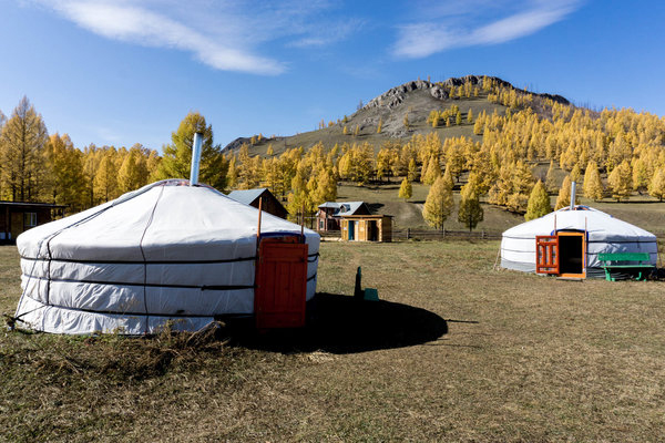 Mongolian yurts