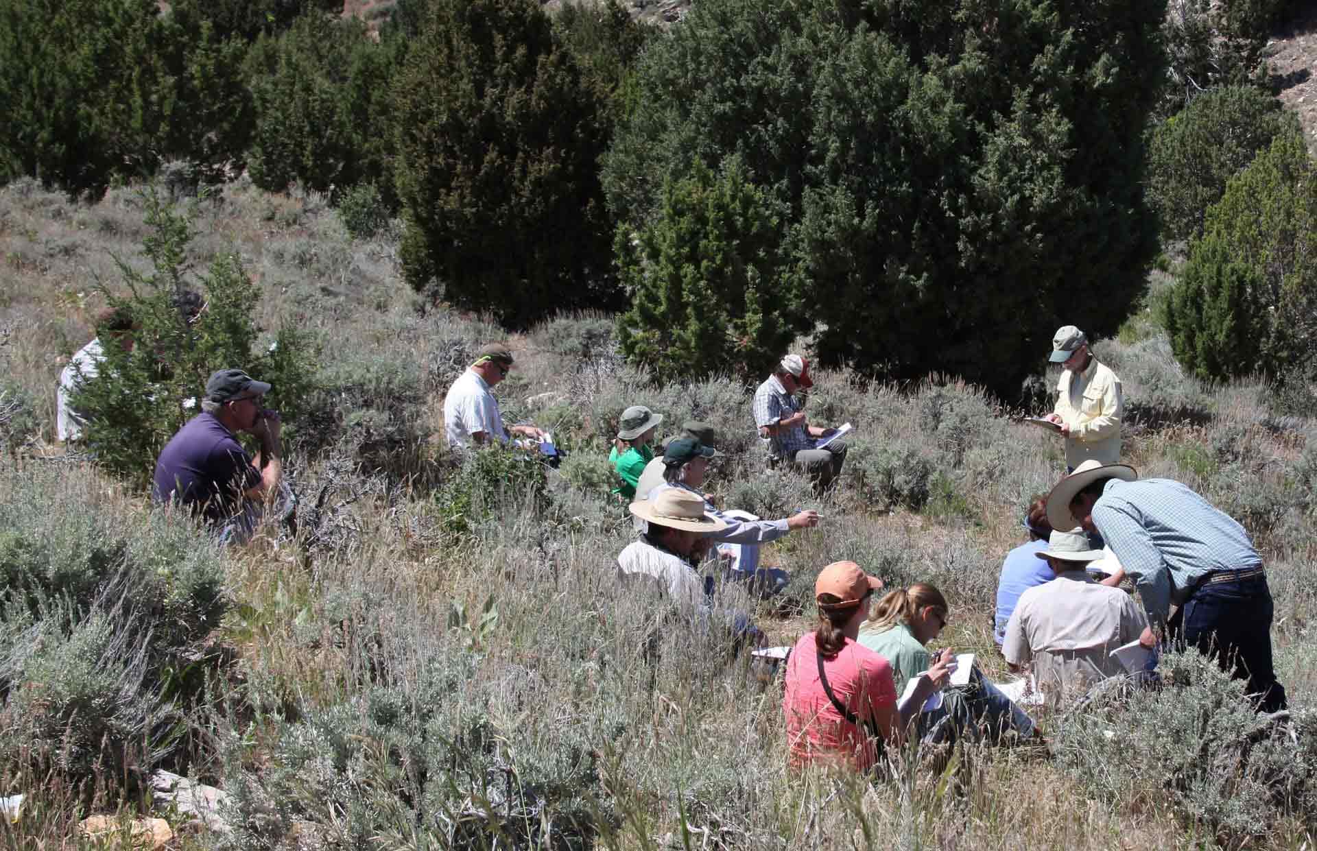 A group of researcher in the brush during a field workshop