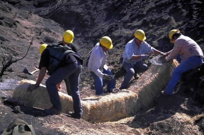 People in hard hats working in the field placing flood barriers during wildfire restoration work