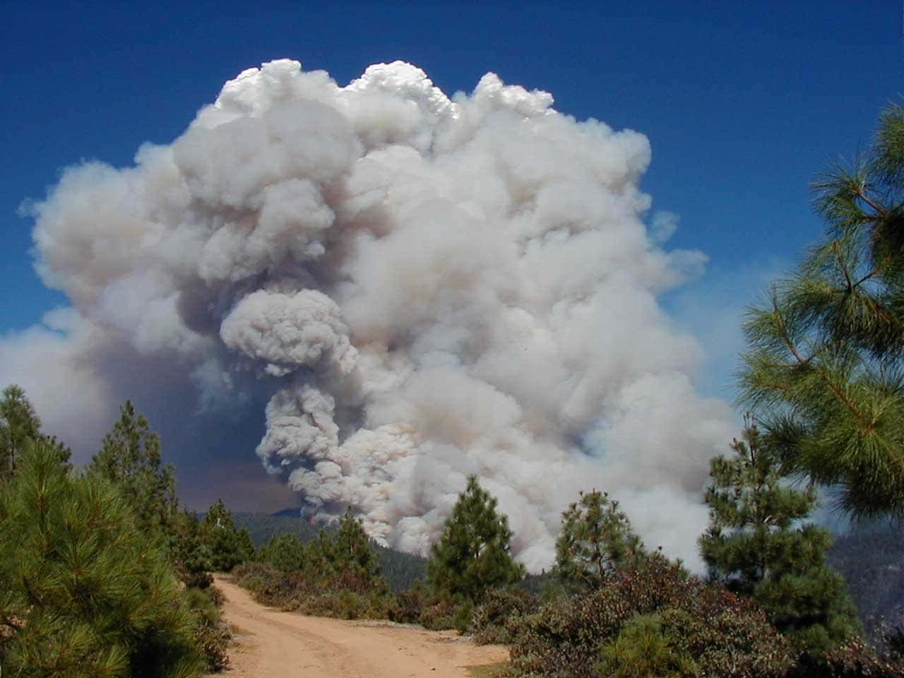 A huge smoke column from the Star wildfire