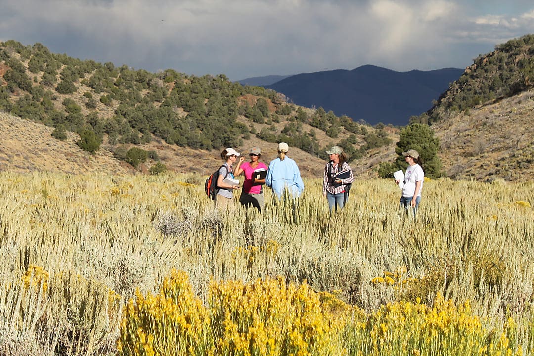 Professor Stringham leads a group of researchers through the brush