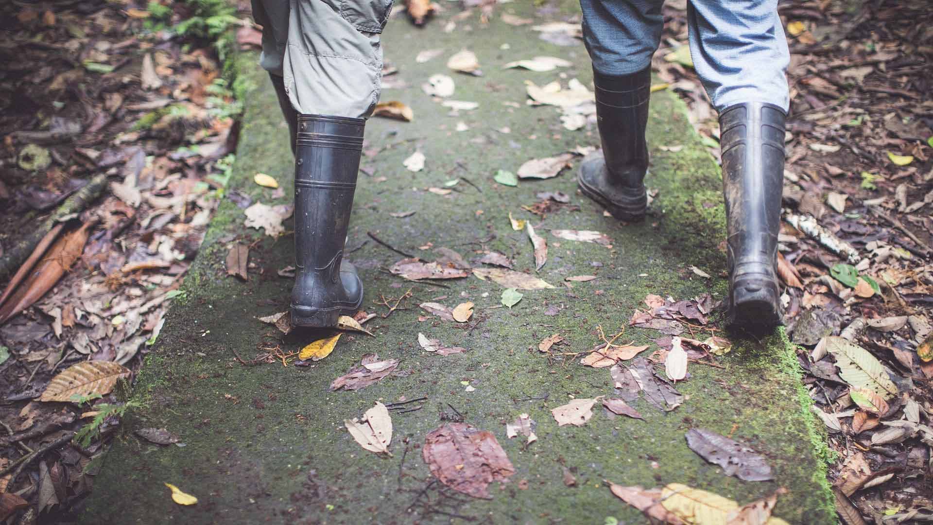 People walking along a path in the rain forest with just their rubber boots showing