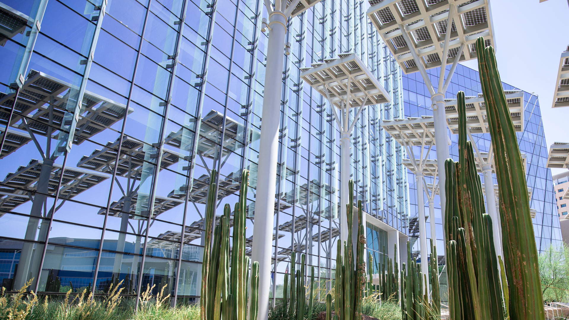 Solar panels at Las Vegas City Hall