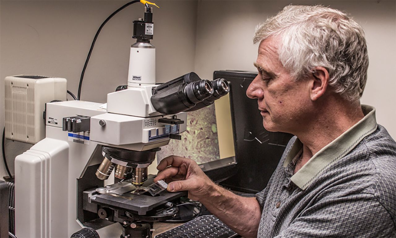 Christopher von Bartheld conducting research with a microscope