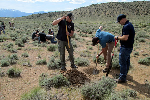 Students dig soil pits and identify soil types.