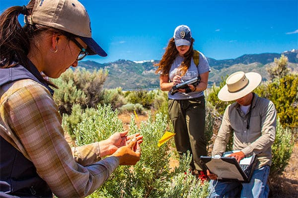 Rangeland Ecology Lab researchers collect data on a range.