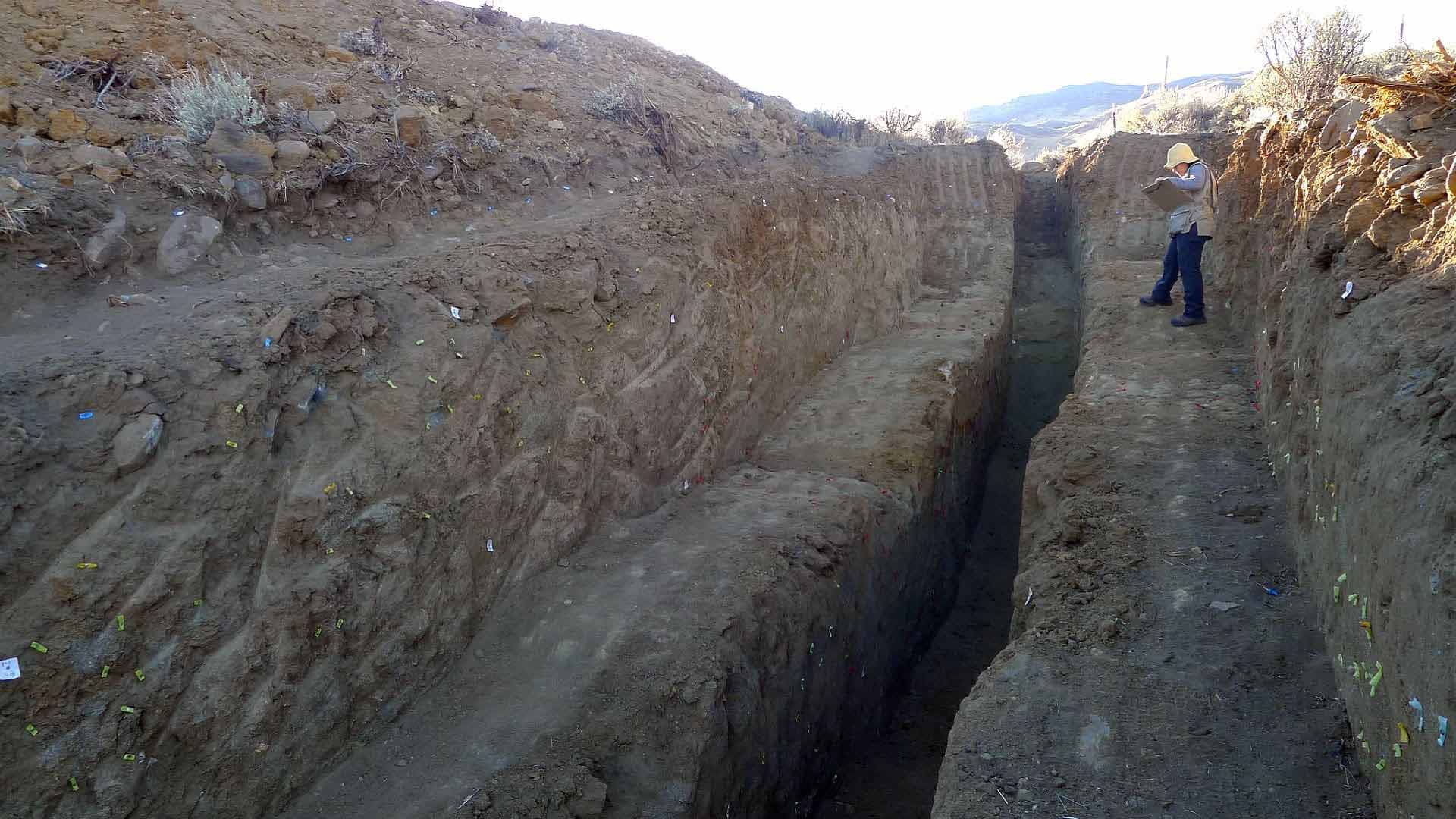A geologist looking into a cleaned out trench exposing a fault caused by the Ridgecrest quake