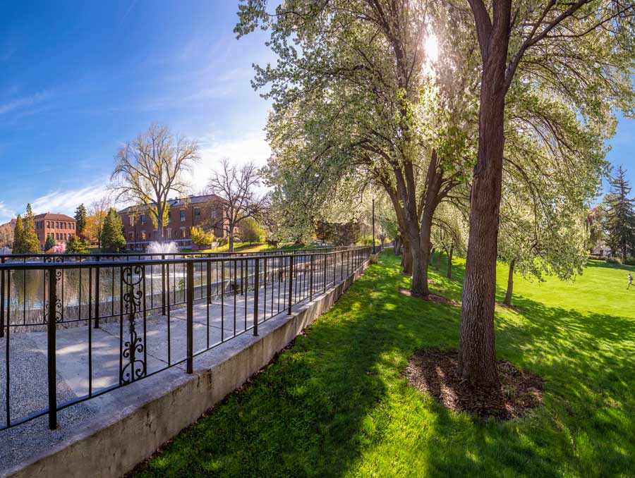 The walkway south of Manzanita Lake, with Clark Administration in the background and sun shining through the trees