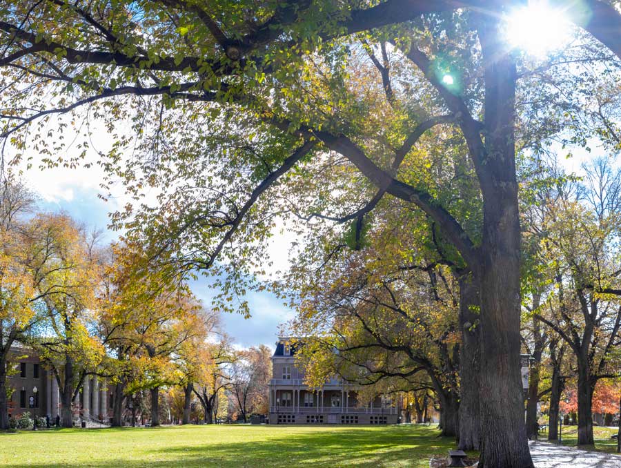 The quad on a fall day, with Morrill Hall in the background and sun peeking through the trees lining the green area