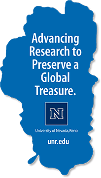 Advancing research to preserve a global treasure