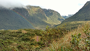 South American chemical ecology research