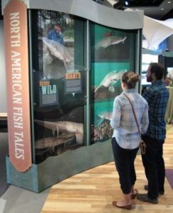 Visitors at the Monster Fish exhibit