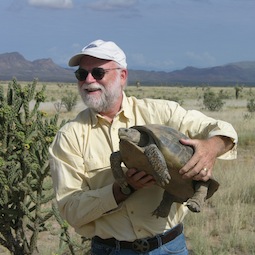 Harry Greene in New Mexico with a Bolson Tortoise. Photo by Cynthia Prado 