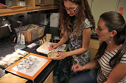 Beth Leger and Allison Agneray study seeds in the lab