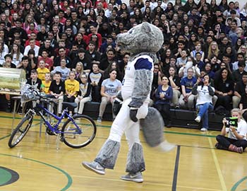 Wolfie Jr. at Clayton Middle School