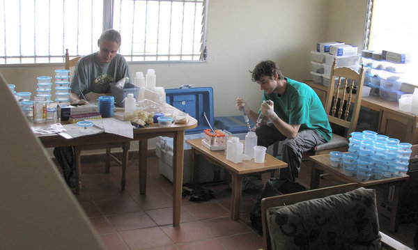 Jamie Voyles and colleague surrounded by specimens in a makeshift residential lab