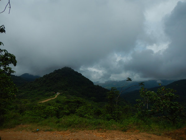 A dirt road through dense and hilly rain forest