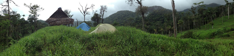 Tents and a thatch shelter in the rain forest