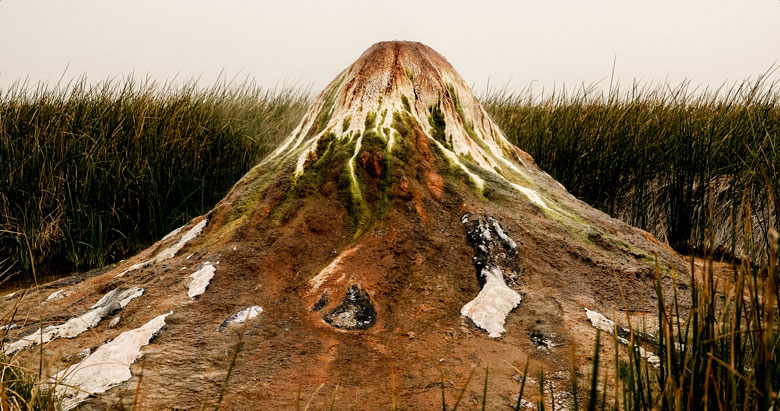 Natural Geyser, Fly Ranch