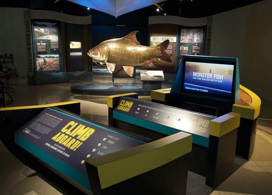 Museum exhibit showing large fish displays and interactive screens