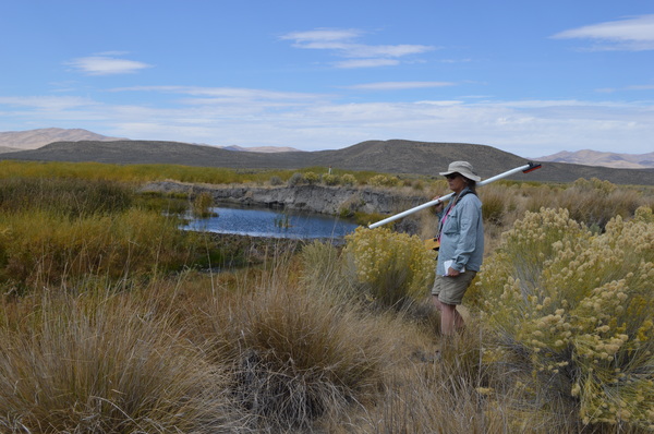 Tamzen Stringham surveying Maggie Creek beaver ponds in Carlin, Nevada.