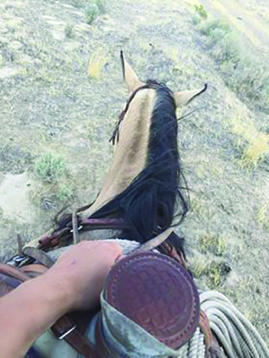 Horseback riding in the desert