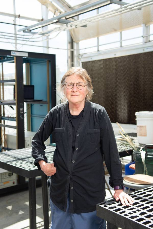 Mae Sexauer Gustin in the greenhouse where she works with samples