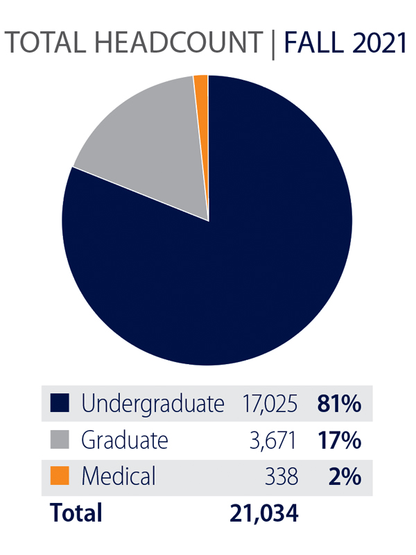 Pie chart of total enrollment by student type for fall 2021