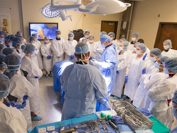 A group of doctors in operational gowns and masks gather around a gurney during an instructional session.