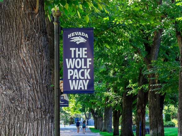 A Wolf Pack Way banner with the Nevada Athletics wolf logo hangs from a tree on the University of Nevada, Reno quad.