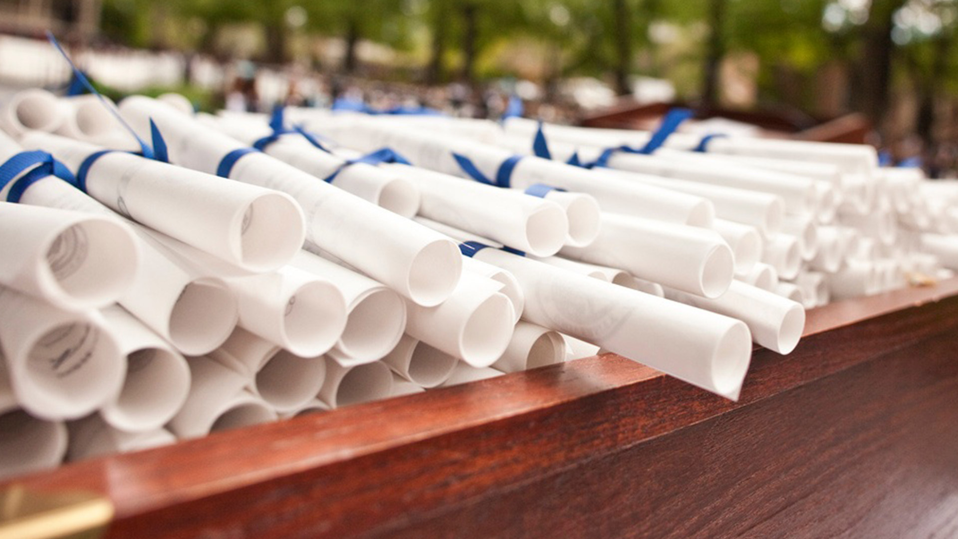 A pile of rolled up diplomas, each with a blue ribbon, sit on a desk.