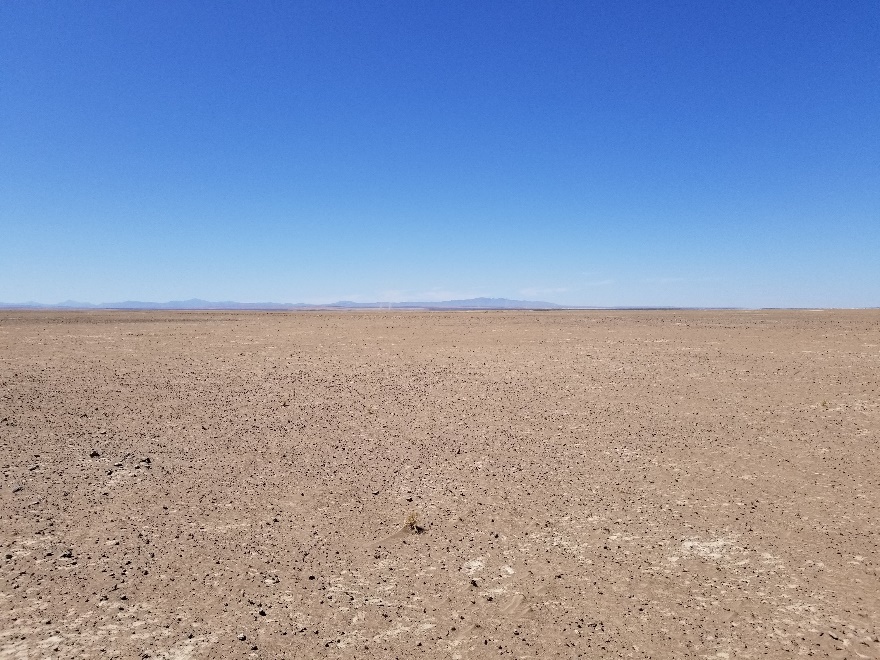 Vast arid desert landscape with a large horizon.