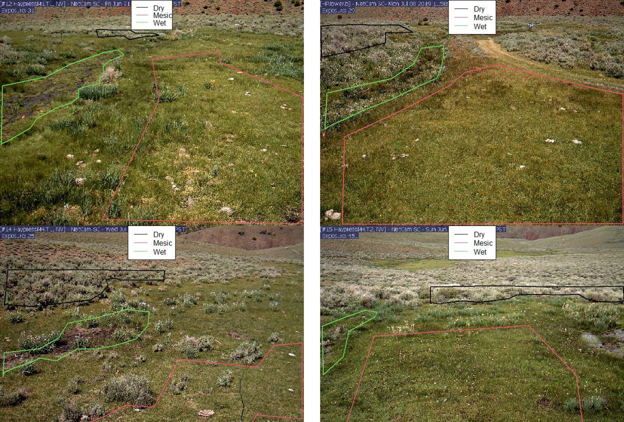 Computation results for four separate images, by Phenopix.